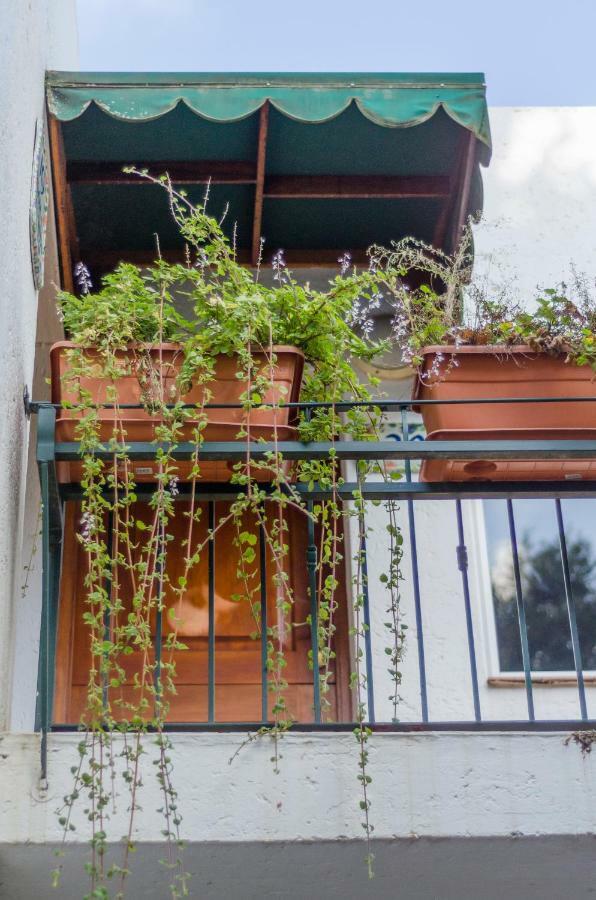Garden Place Guest Houses Johannesburg Kültér fotó