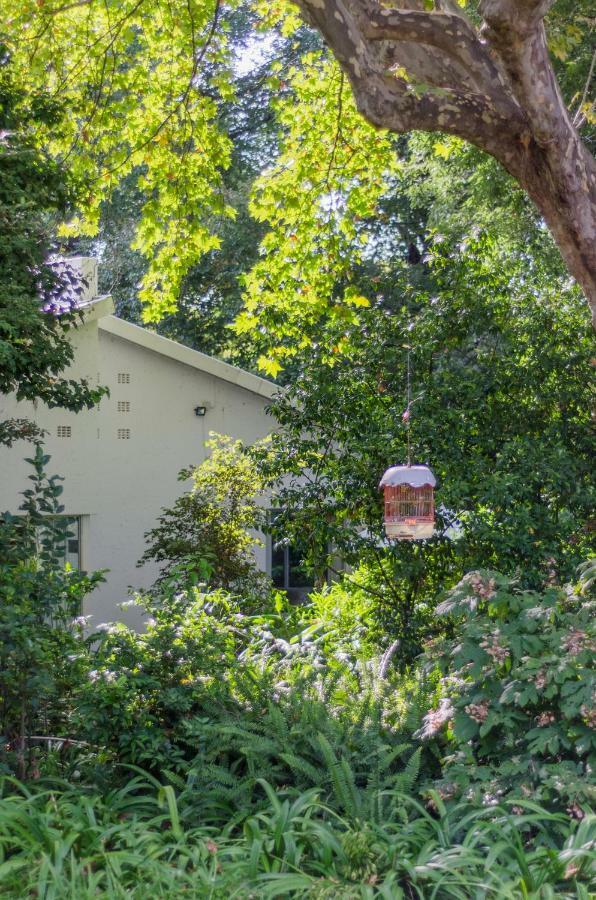 Garden Place Guest Houses Johannesburg Kültér fotó